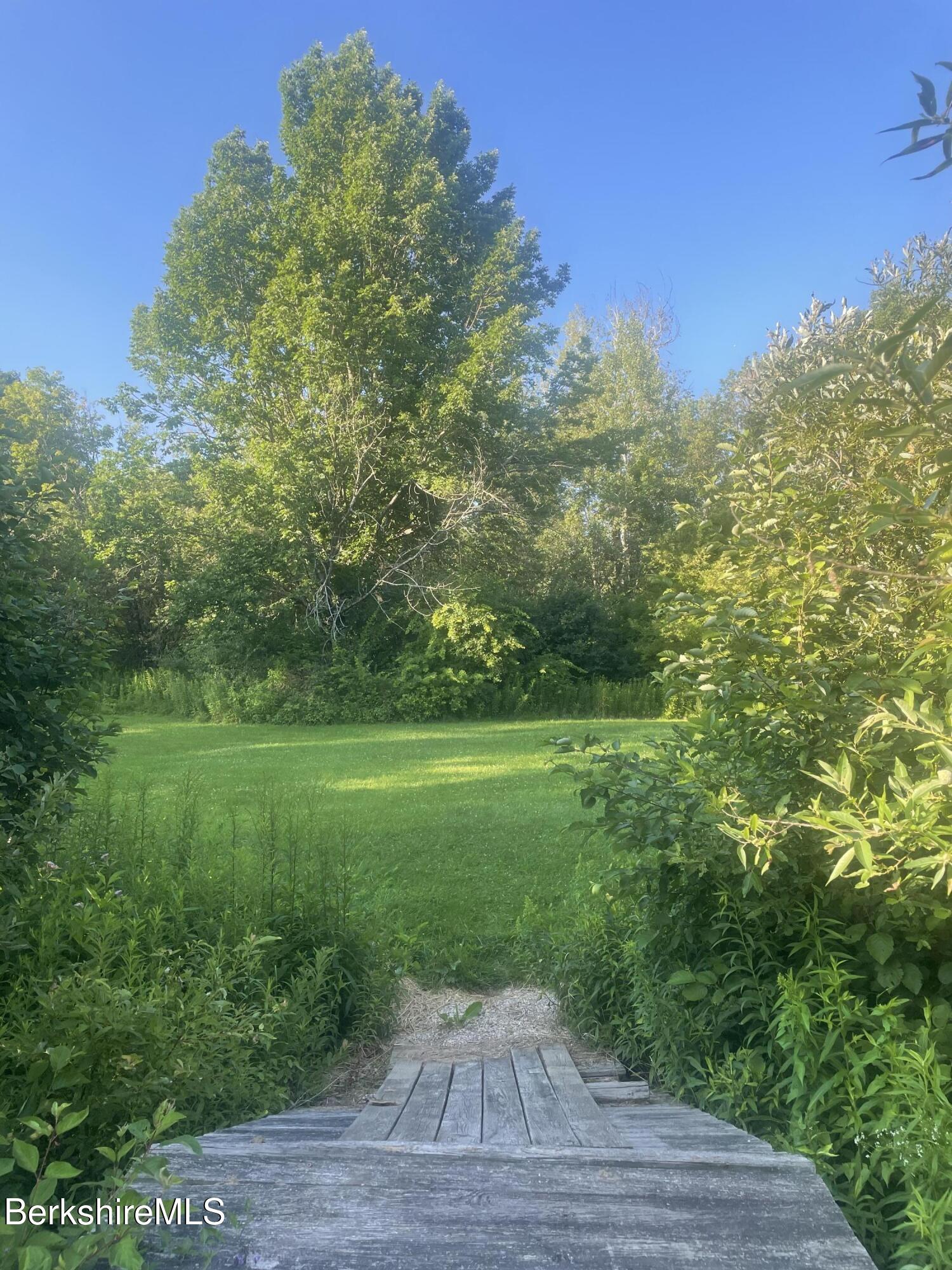 14 Blotz Road Washington, MA 01223 - Photo 26 of 28 a view of a yard with plants and large trees