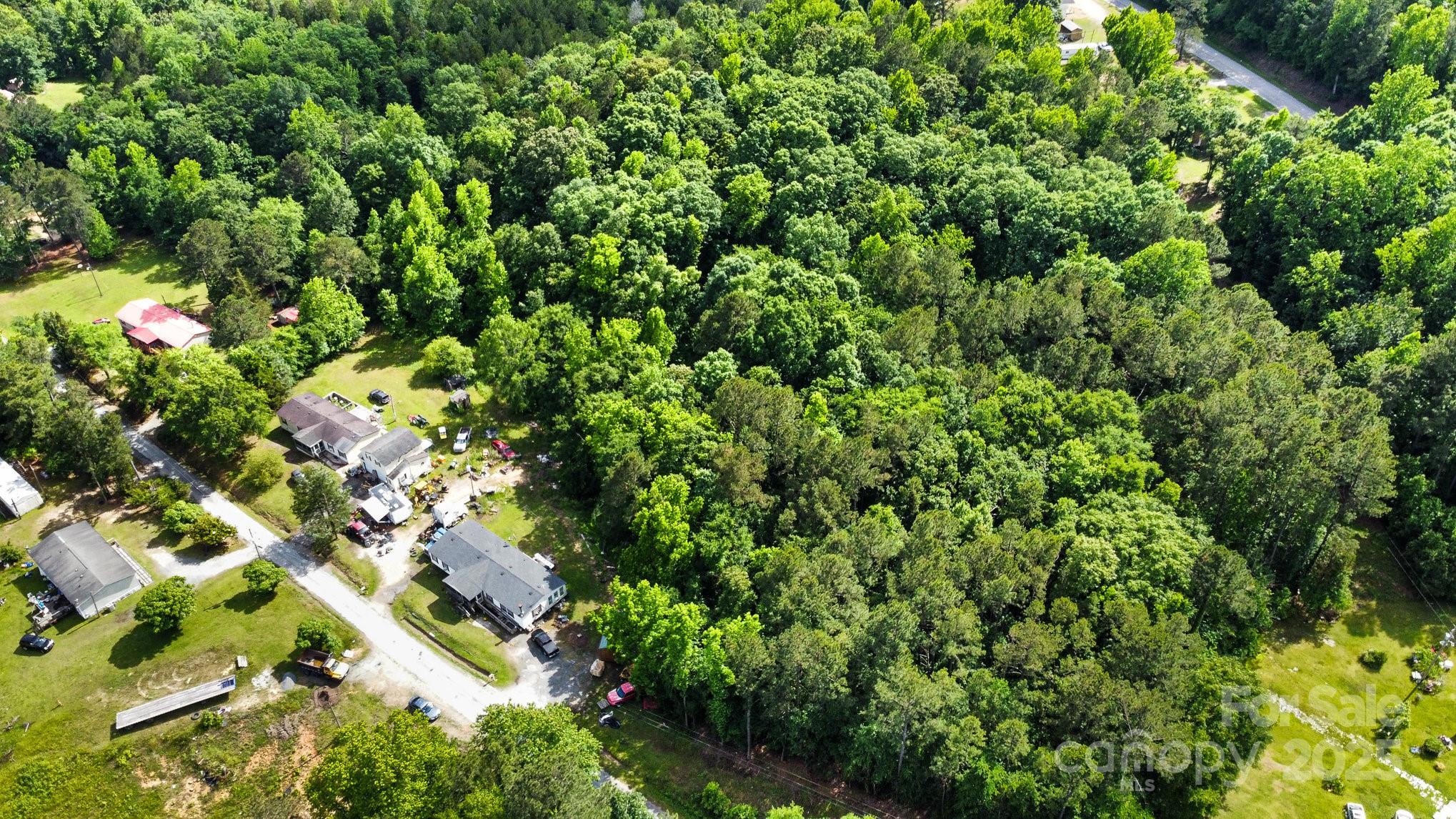 1 Gibson End Road Great Falls, SC 29055 - Photo 4 of 7 a view of a plant