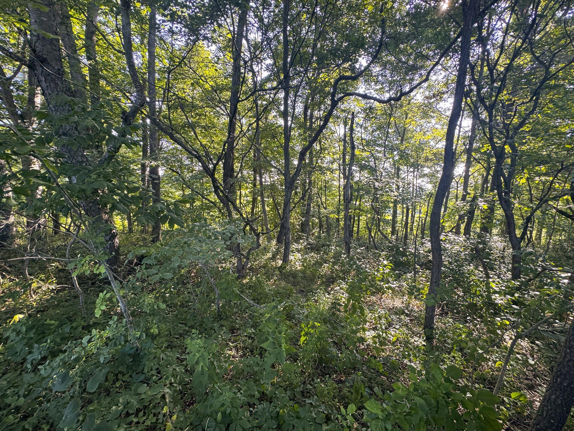 0 Golf Course Road, Unit TRACT 1 SKYLINEACRES) Waverly, OH 45690 - Photo 45 of 68 CT-45
