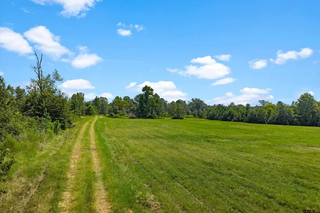 a view of a green field