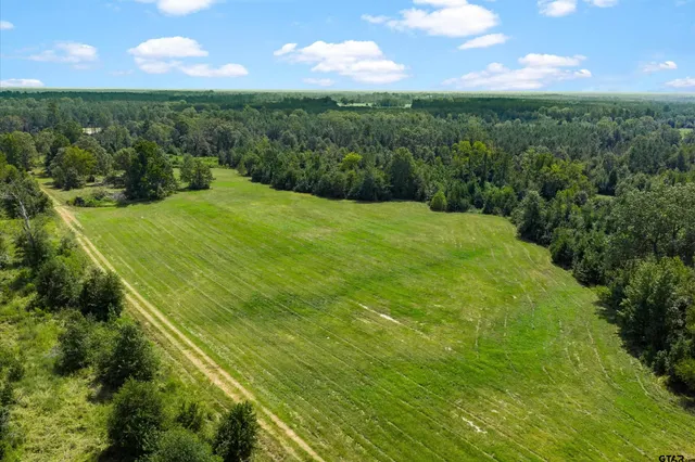 a view of a green field with clear sky