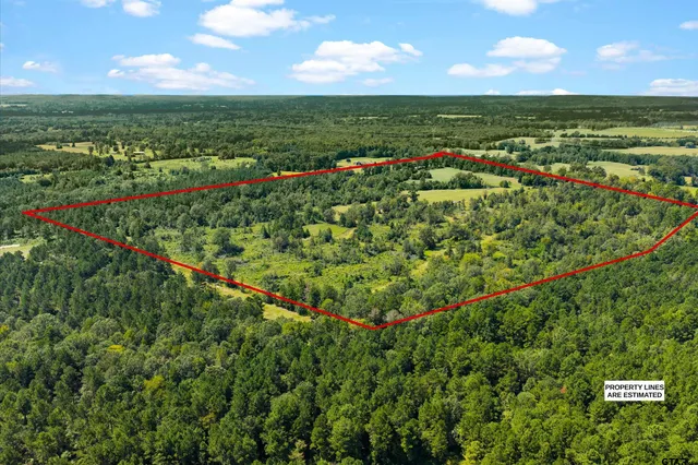 a view of a green field