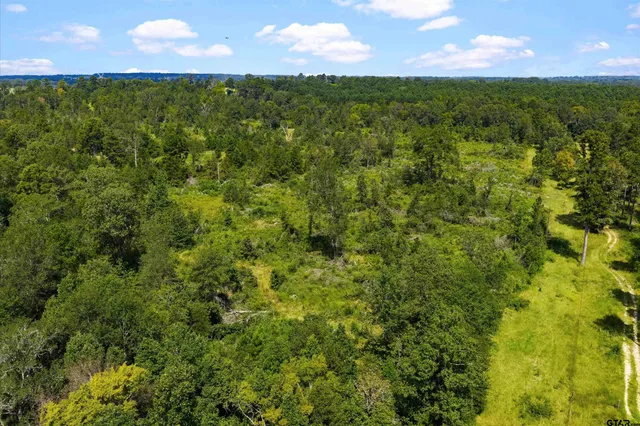 a view of a yard with an outdoor space