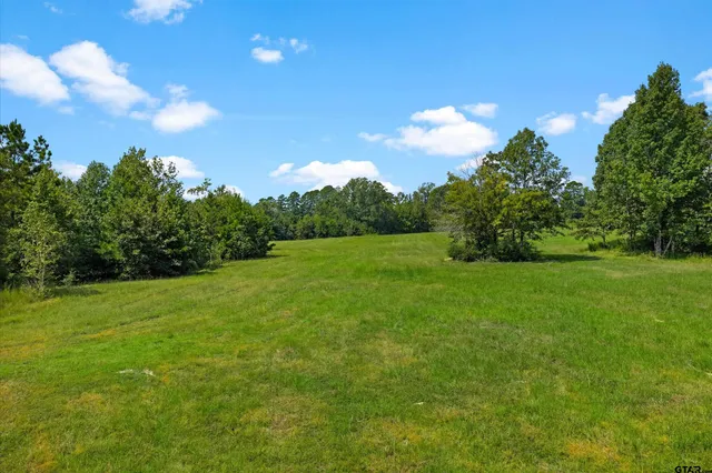a view of a big yard with large trees