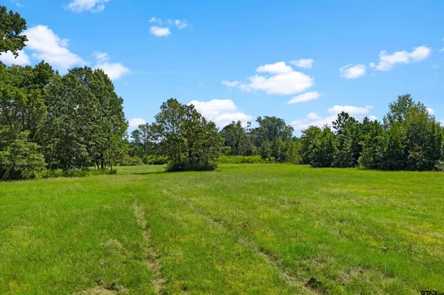 a view of a big yard with a large tree