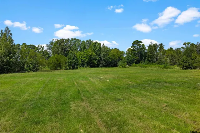 a view of a grassy field with trees in the background