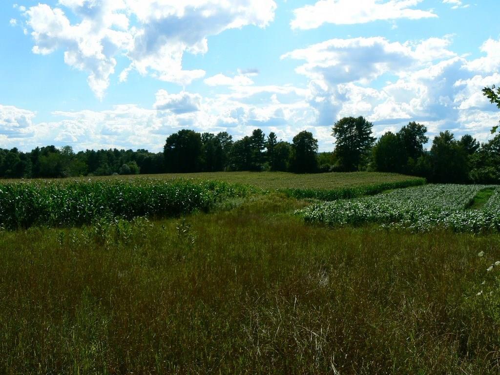 154 Dutton Road South China, ME 04358 - Photo 26 of 35 Photo
