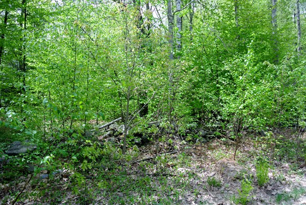 318 Upper North Row Road Sterling, MA 01564 - Photo 4 of 6 Gallery Image 4