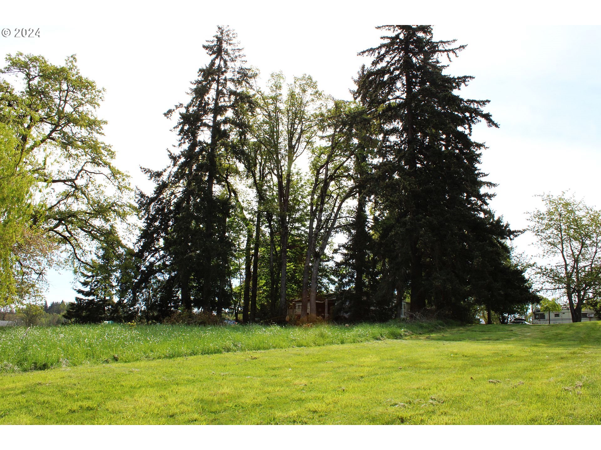11331 South Wildcat Road Molalla, OR 97038 - Photo 21 of 34 a grassy field with trees in the background