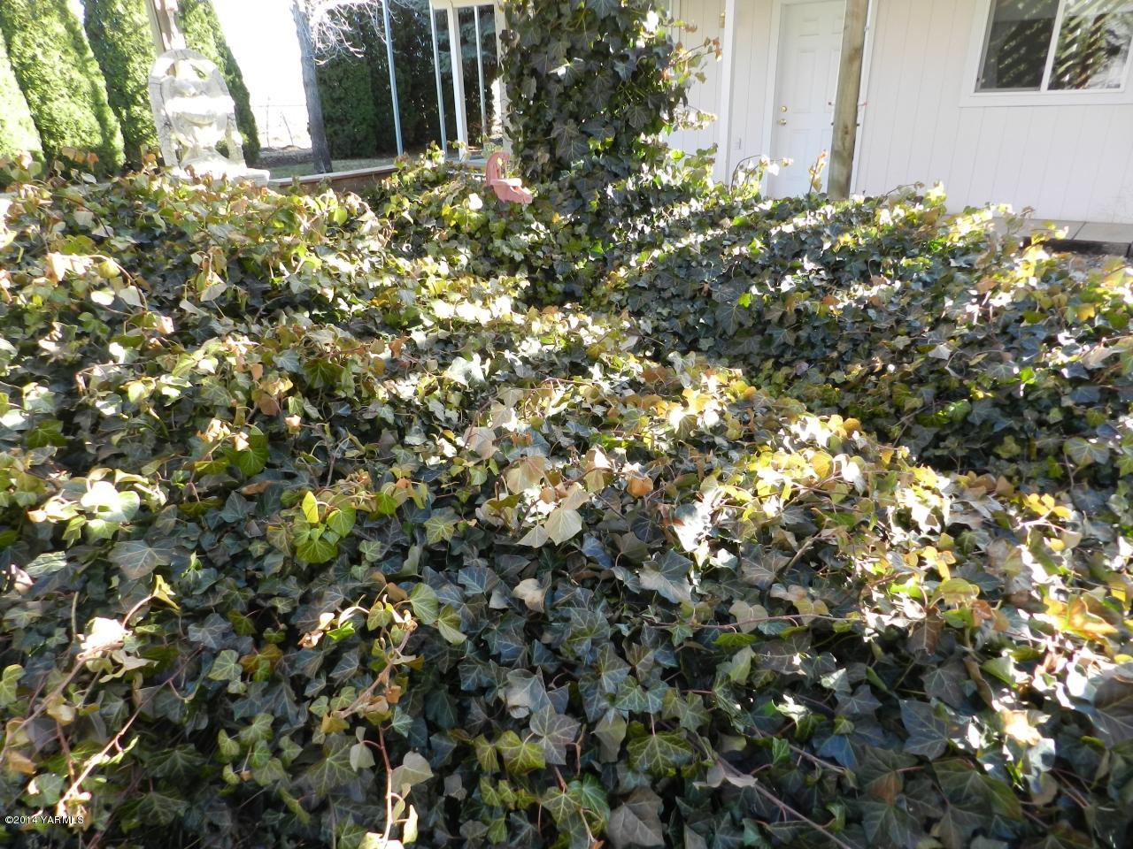 1221-1241 Rosenkranz Road Tieton, WA 98947 - Photo 22 of 54 a view of a tree
