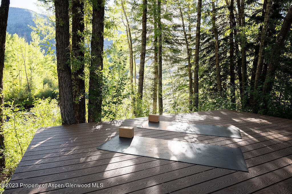 1490 Ute Avenue Aspen, CO 81611 - Photo 15 of 82 a view of outdoor space with deck