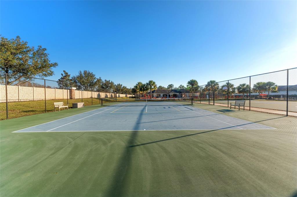 12931 Conquistador Loop Spring Hill, FL 34610 - Photo 53 of 61 Gallery Image 53