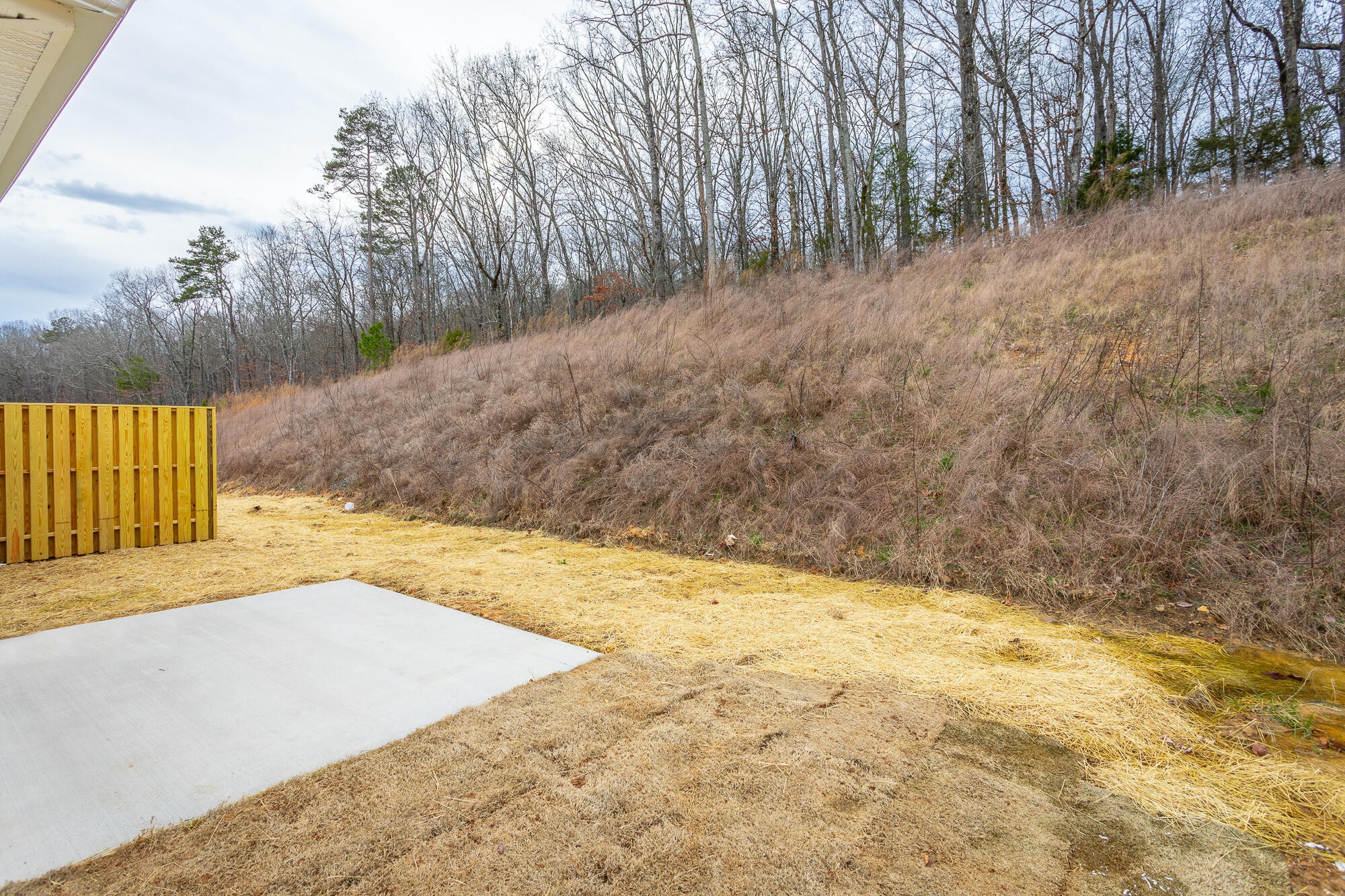 171 Andros Loop Dalton, GA 30721 - Photo 17 of 65 Gallery Image 17
