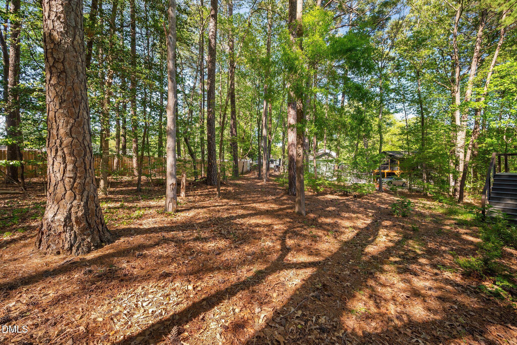 313 Crown Oaks Drive Raleigh, NC 27615 - Photo 42 of 60 a view of outdoor space with deck and tree