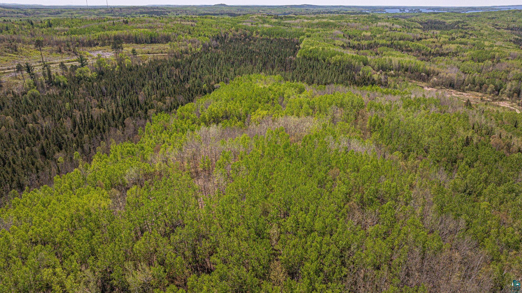 4304 Mud Creek Road Ely, MN 55731 - Photo 87 of 98