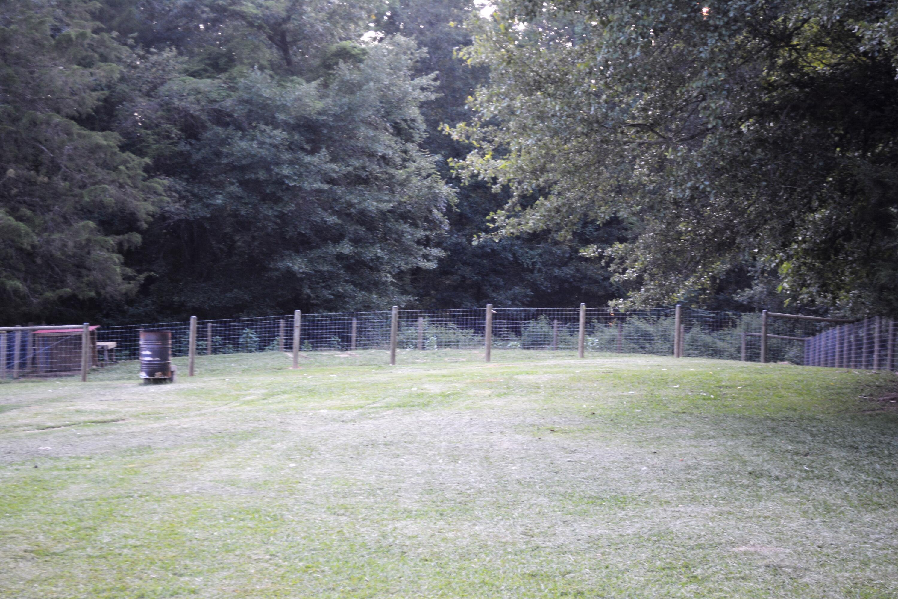2126 Cedar Grove Road Leesville, SC 29070 - Photo 62 of 74