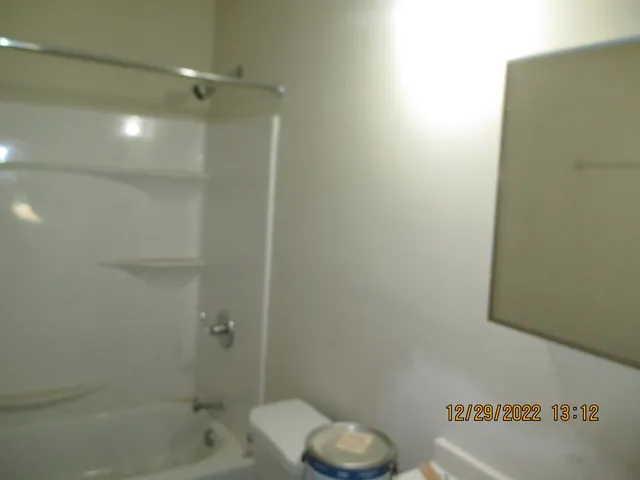 a bathroom with a shower and a toilet