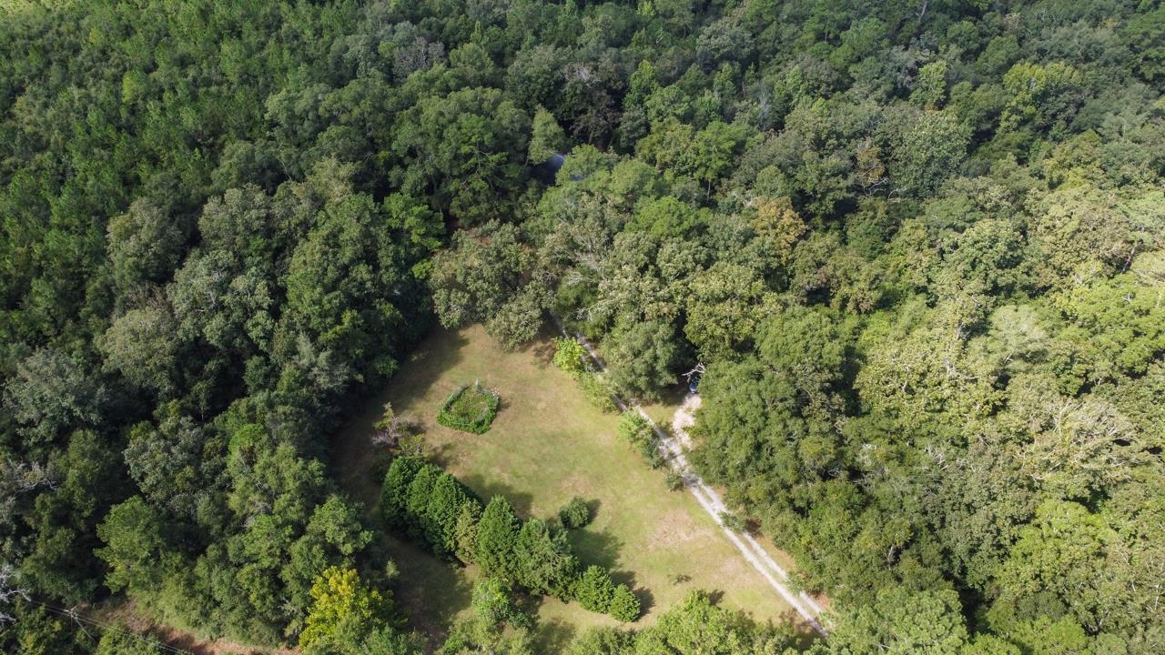 982 Paul Thompson Road Monticello, FL 32344 - Photo 3 of 36 Gallery Image 3