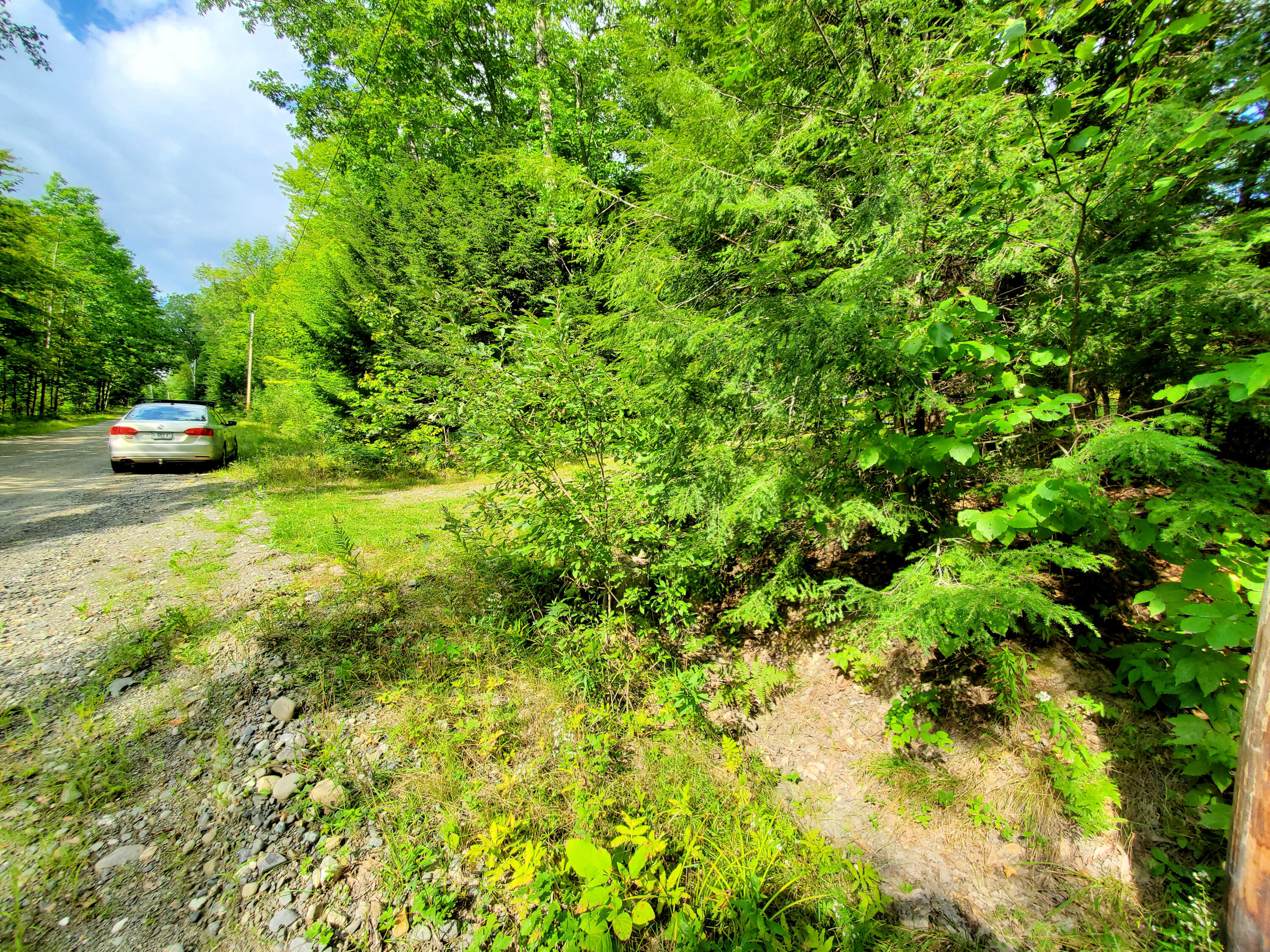 57 Vigue Road Hartland, ME 04943 - Photo 5 of 38 20210831_151610