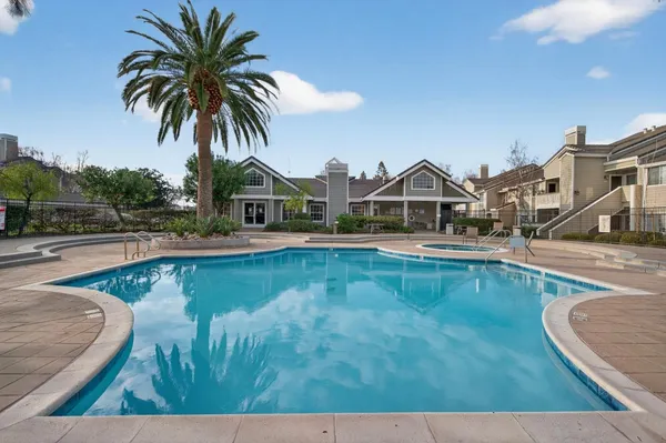 a view of a swimming pool with a chair and palm trees