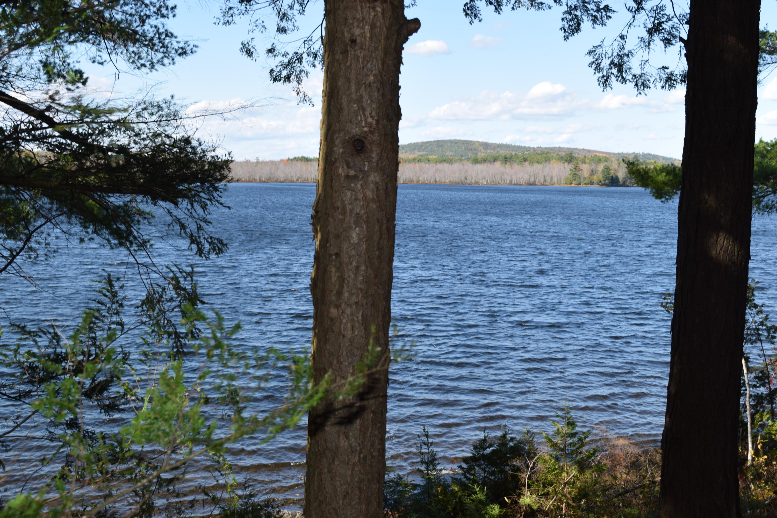 58 Fitzsimmons Road Canaan, ME 04924 - Photo 5 of 19 DSC_0729