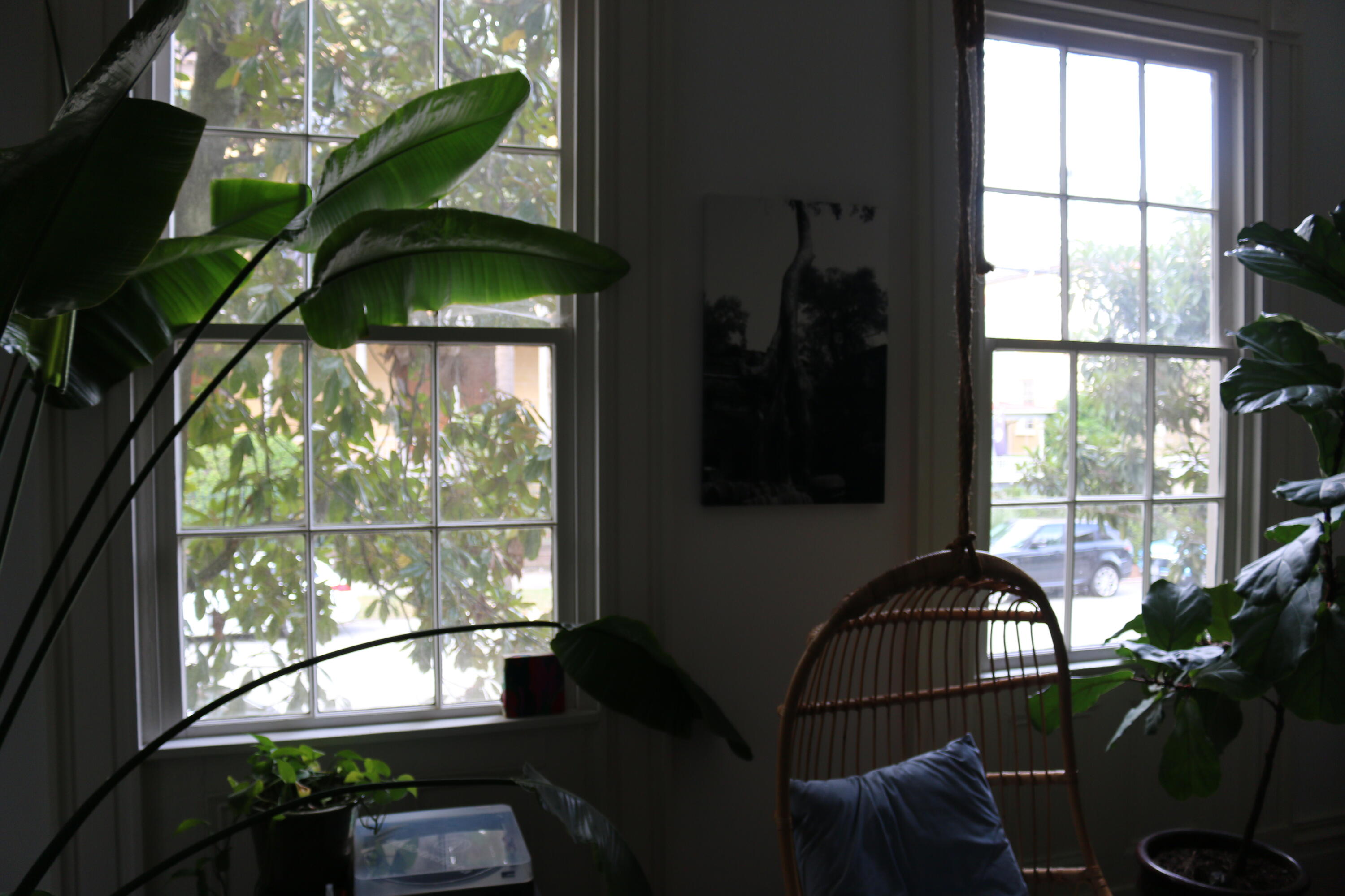 17 Judith Street Charleston, SC 29403 - Photo 31 of 47 IMG_3026