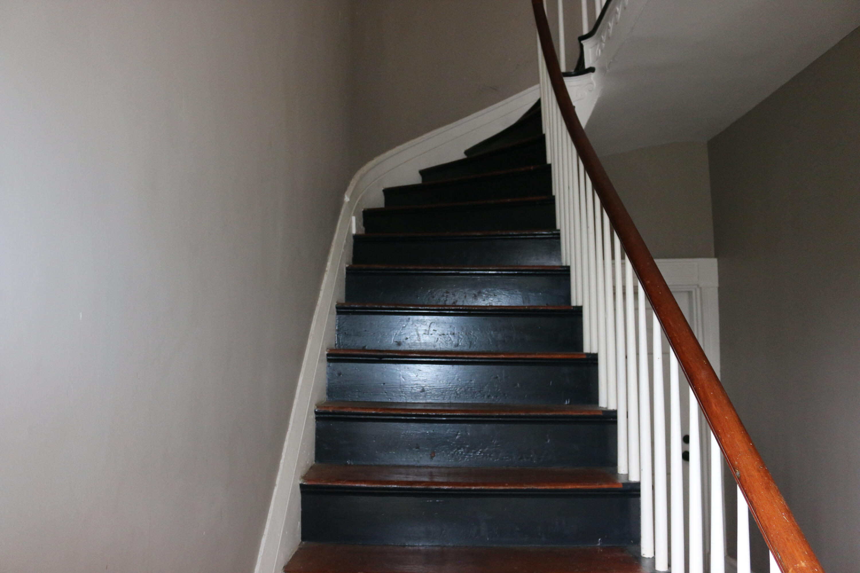 17 Judith Street Charleston, SC 29403 - Photo 38 of 47 IMG_3037