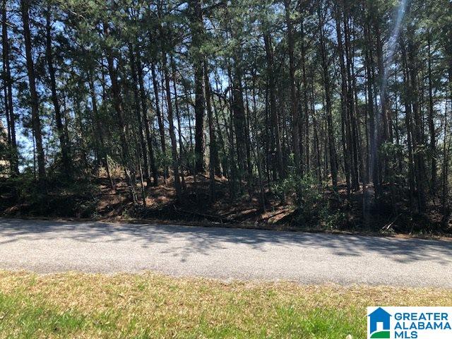 0 High Pointe Drive Warrior, AL 35180 - Photo 7 of 12