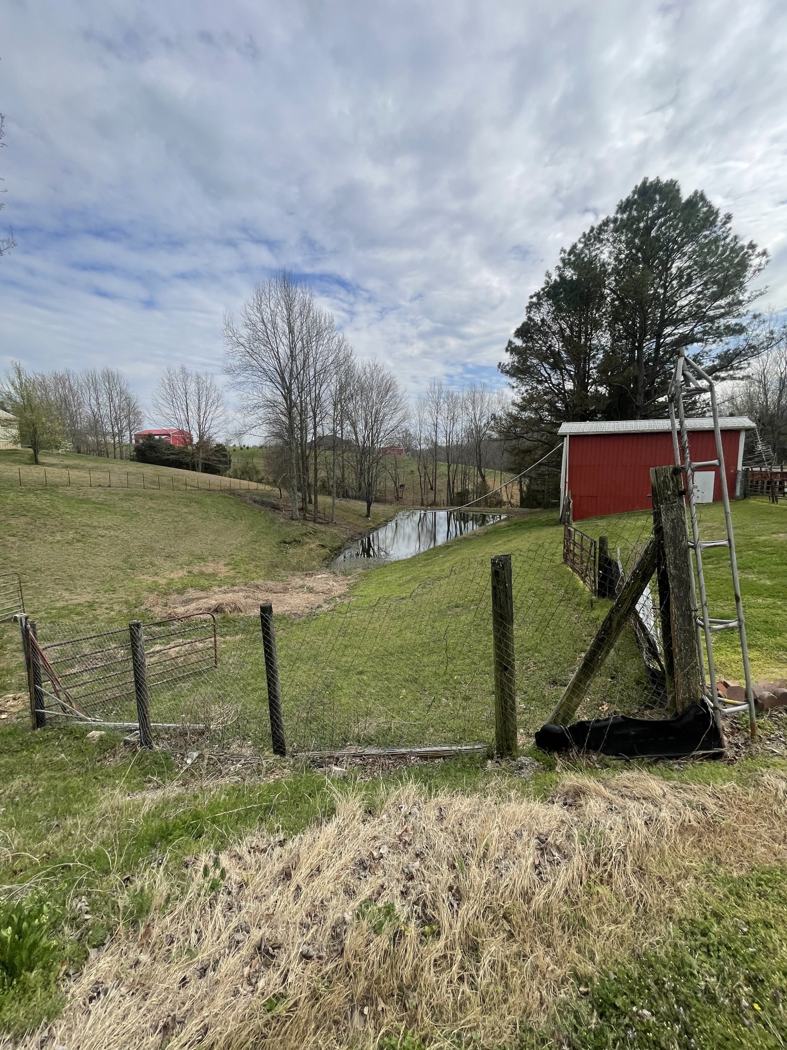 1996 Austin Road Lafayette, TN 37083 - Photo 4 of 15