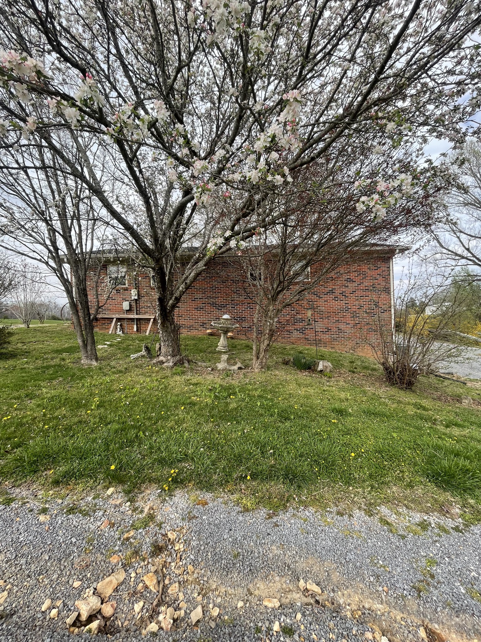 1996 Austin Road Lafayette, TN 37083 - Photo 6 of 15