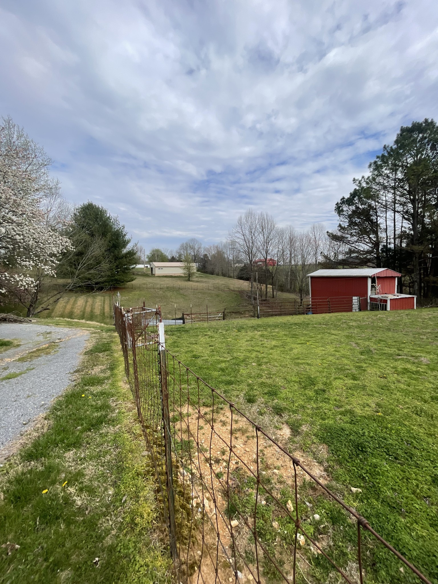 1996 Austin Road Lafayette, TN 37083 - Photo 7 of 15