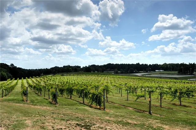 $1,200,000 | 2217 Crimson King Drive, Braselton, GA 30517