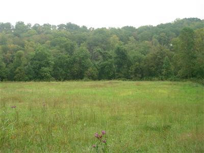 1999 Burton Williams Road Irvine, KY 40336 - Photo 45 of 47 Photo 46