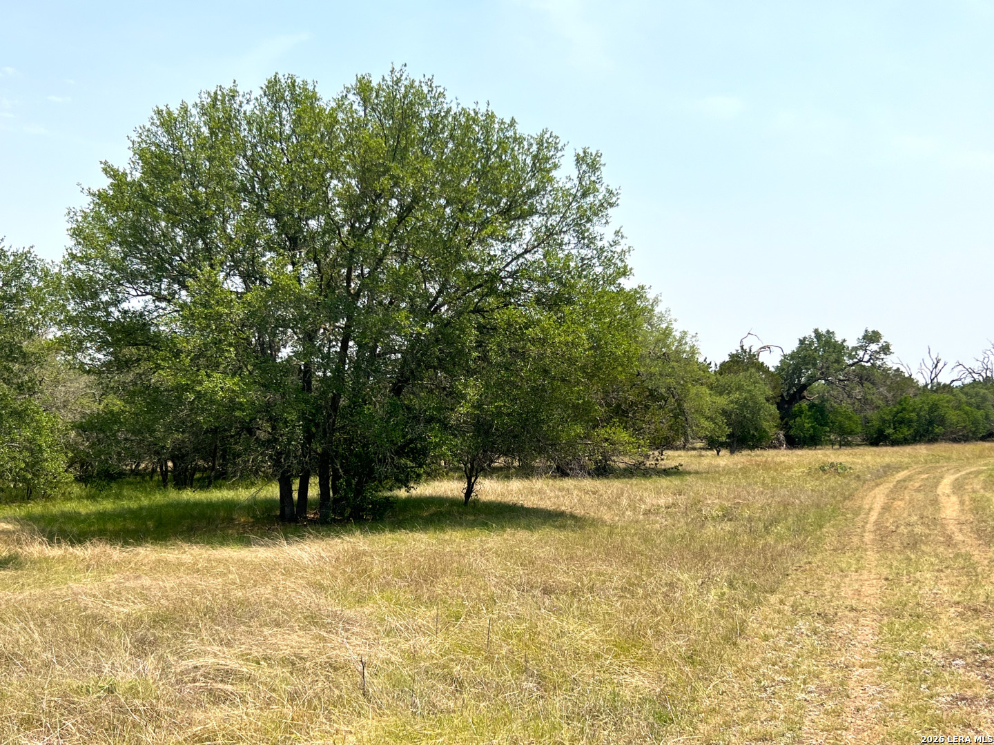 1220 Flying T Ranch Road Bandera, TX 78003 - Photo 14 of 27