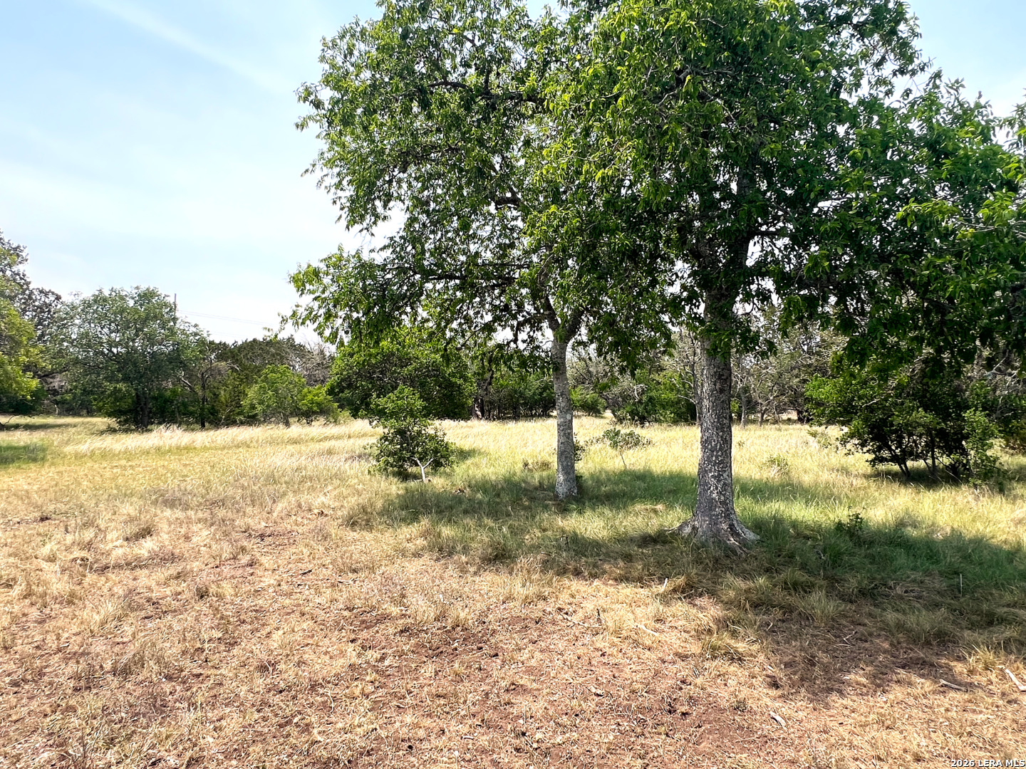 1220 Flying T Ranch Road Bandera, TX 78003 - Photo 19 of 27 a view of a yard with a tree