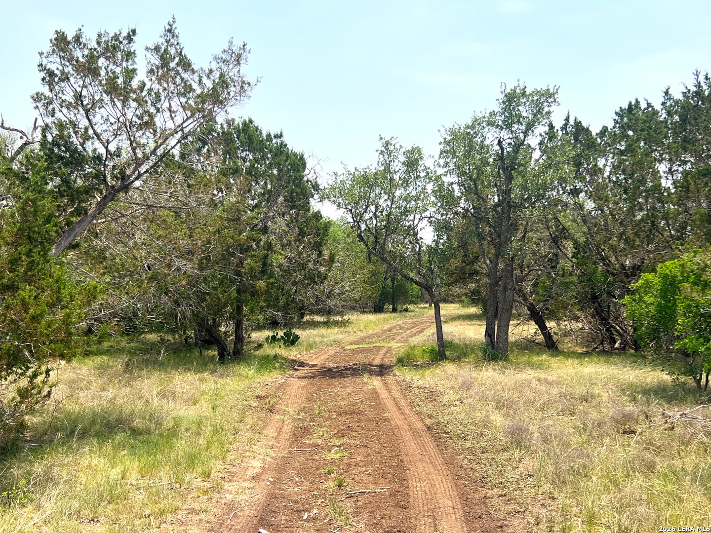 1220 Flying T Ranch Road Bandera, TX 78003 - Photo 4 of 27 a view of a yard with a tree