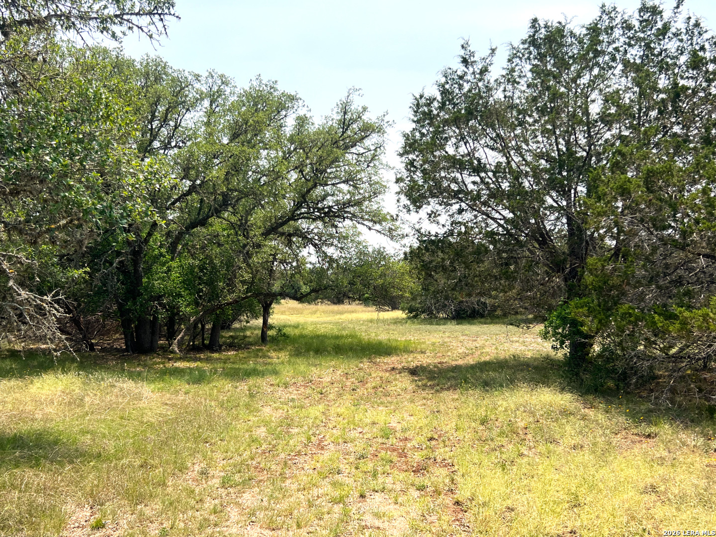 1220 Flying T Ranch Road Bandera, TX 78003 - Photo 10 of 27 a view of swimming pool with yard
