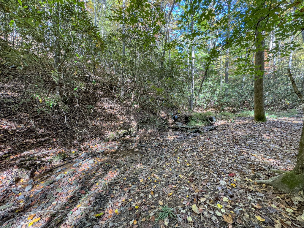 614 Rockridge Road Murphy, NC 28906 - Photo 43 of 43 a view of a forest with trees