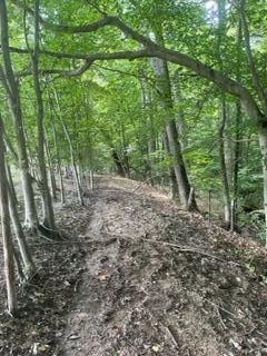 0 Russell Springs Road Russell Springs, KY 42642 - Photo 6 of 7 land7