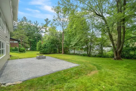 a view of a park with large trees