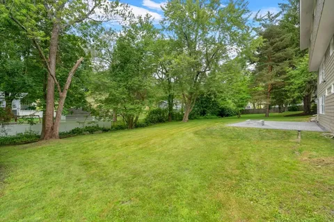 a view of a field with a trees in the background
