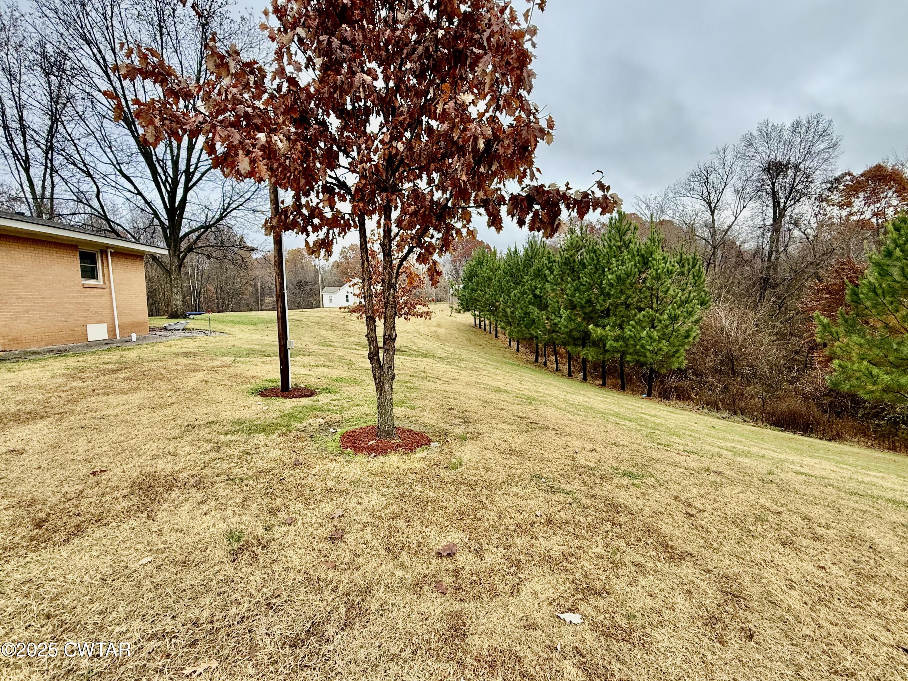 3126 Possum Trot Road Troy, TN 38260 - Photo 25 of 39 IMG_9893