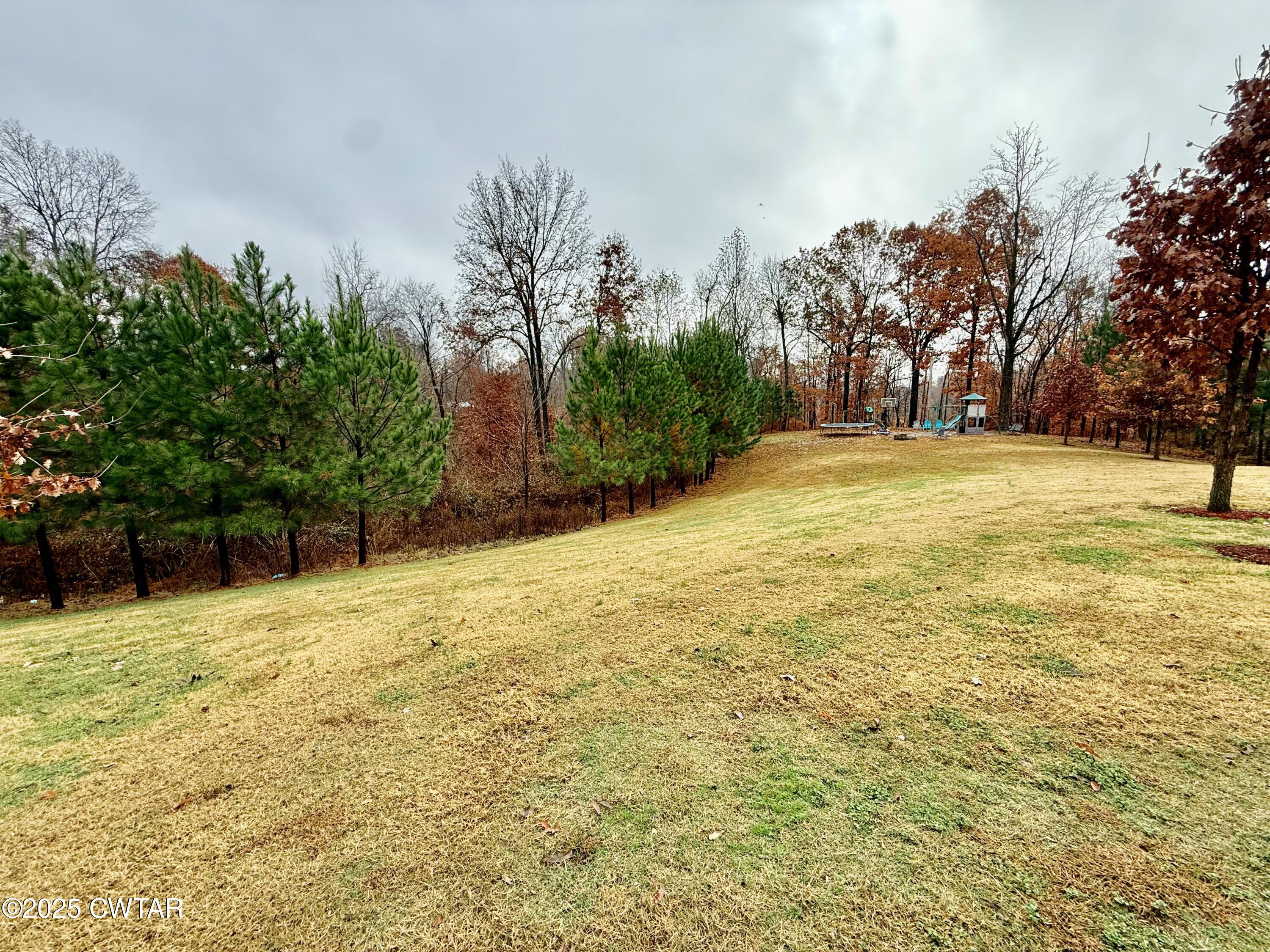 3126 Possum Trot Road Troy, TN 38260 - Photo 27 of 39 IMG_9900
