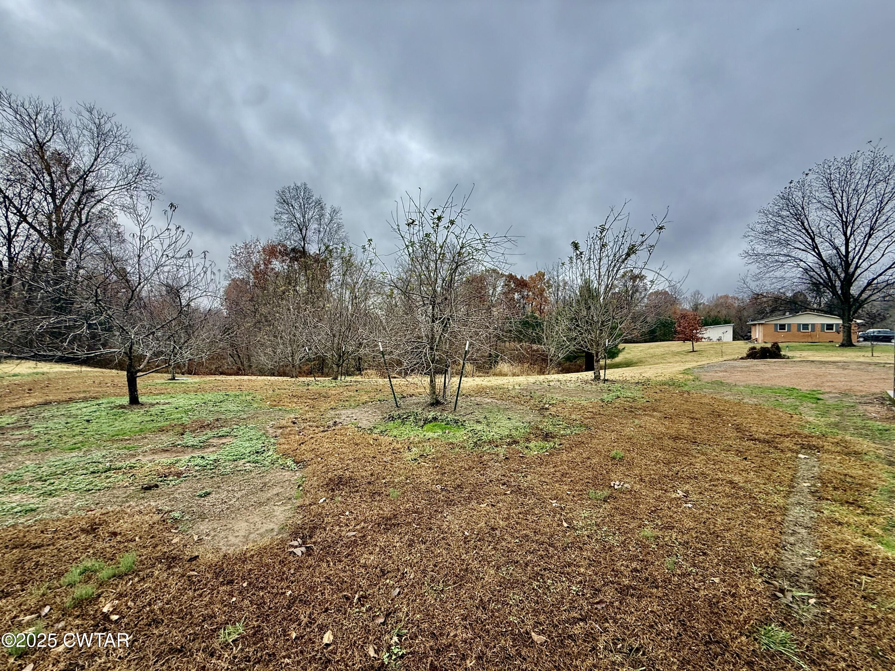 3126 Possum Trot Road Troy, TN 38260 - Photo 32 of 39 IMG_9914