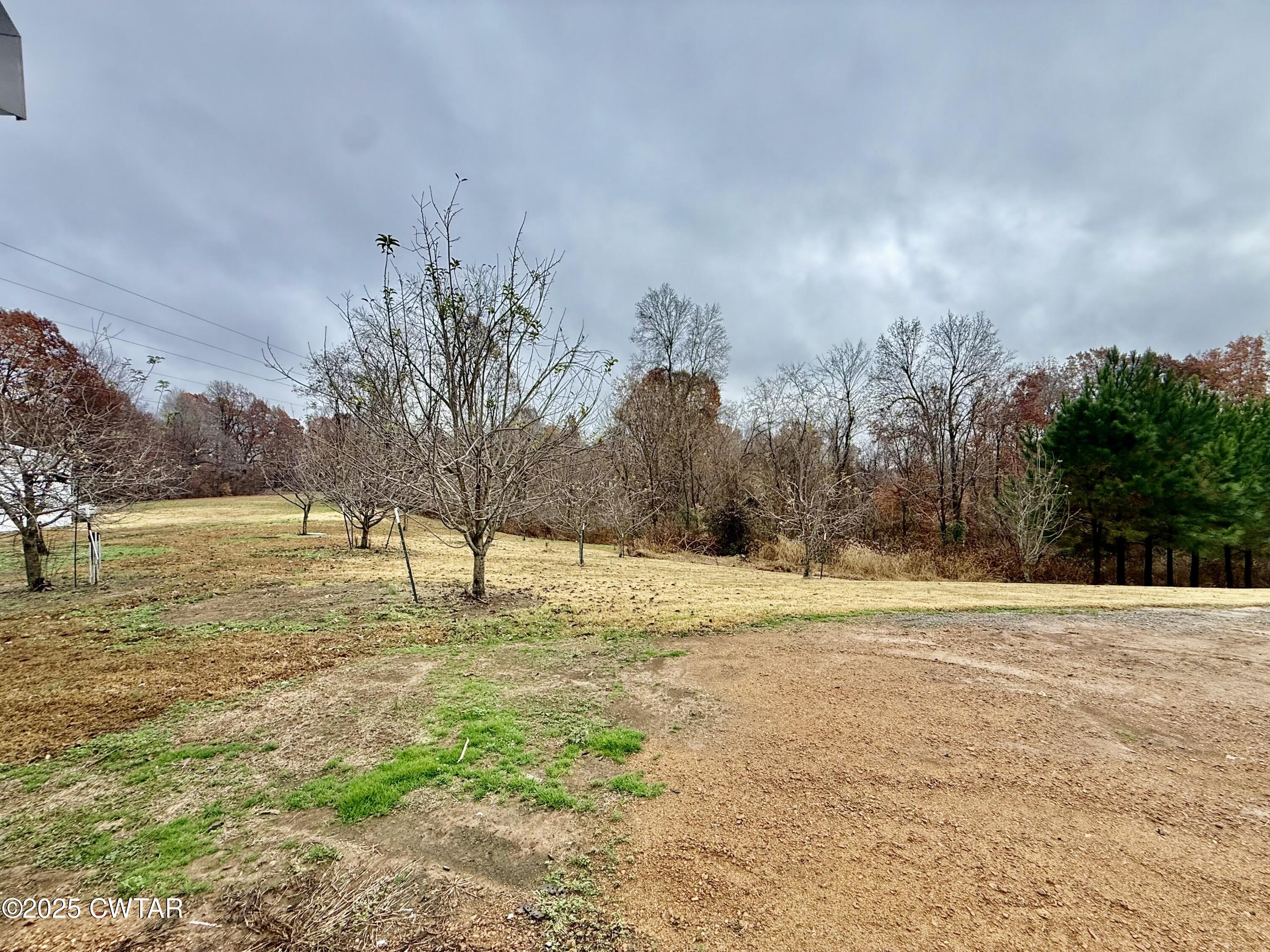 3126 Possum Trot Road Troy, TN 38260 - Photo 4 of 39 IMG_9924 (1)