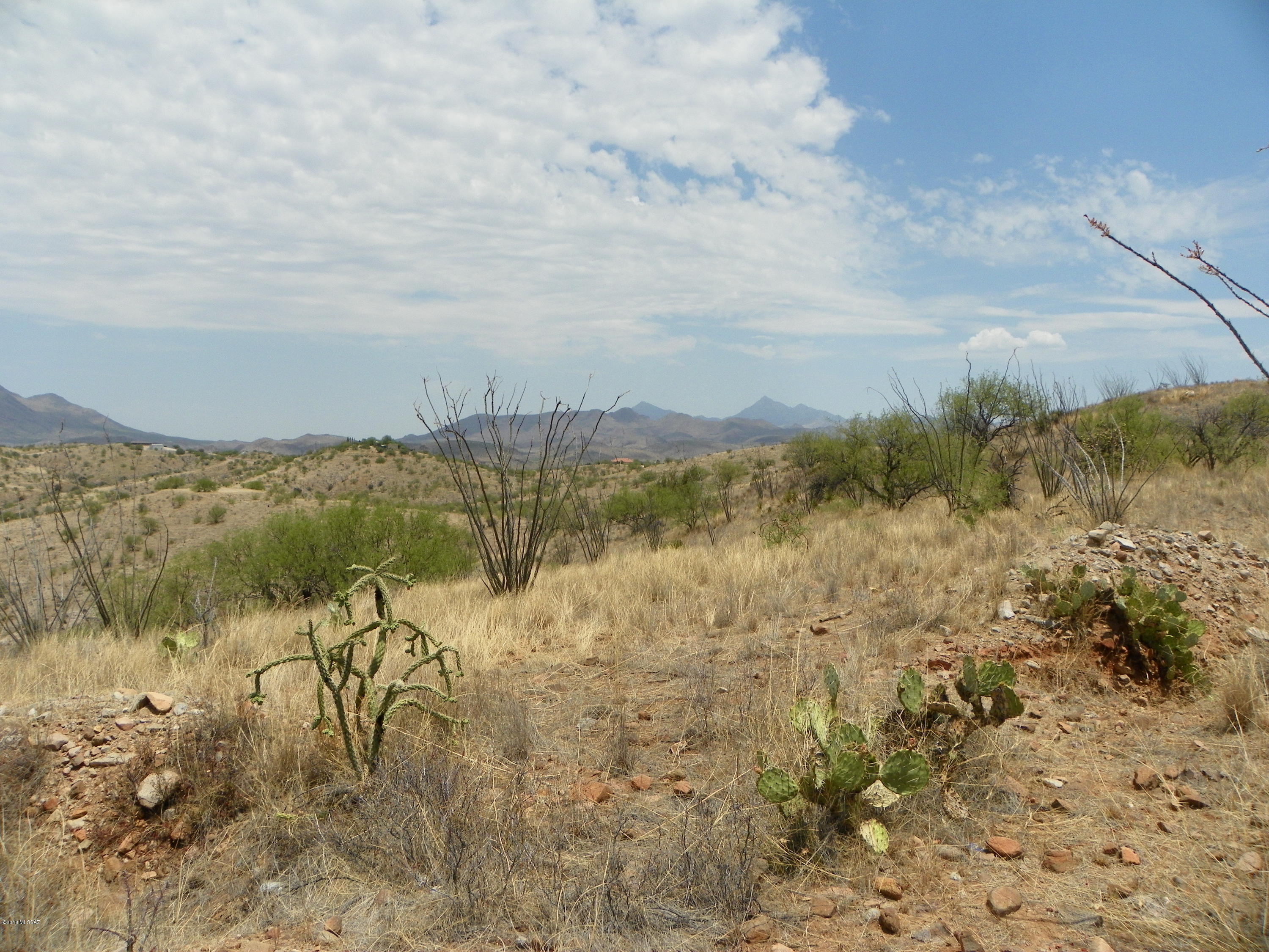 1078 Paseo Guebabi, Unit 65 Rio Rico, AZ 85648 - Photo 3 of 4