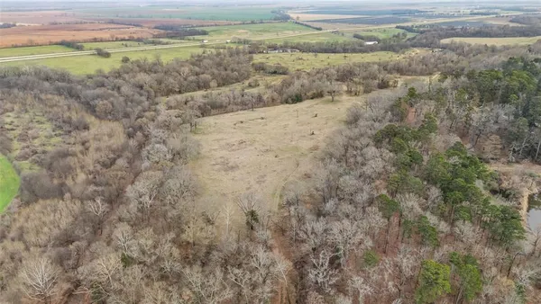 a view of a field with an trees in the background
