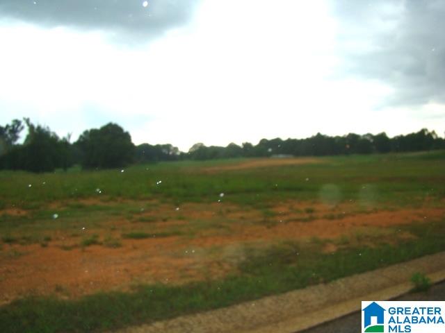 0 Bella Ridge, Unit 111 Lincoln, AL 35096 - Photo 5 of 12