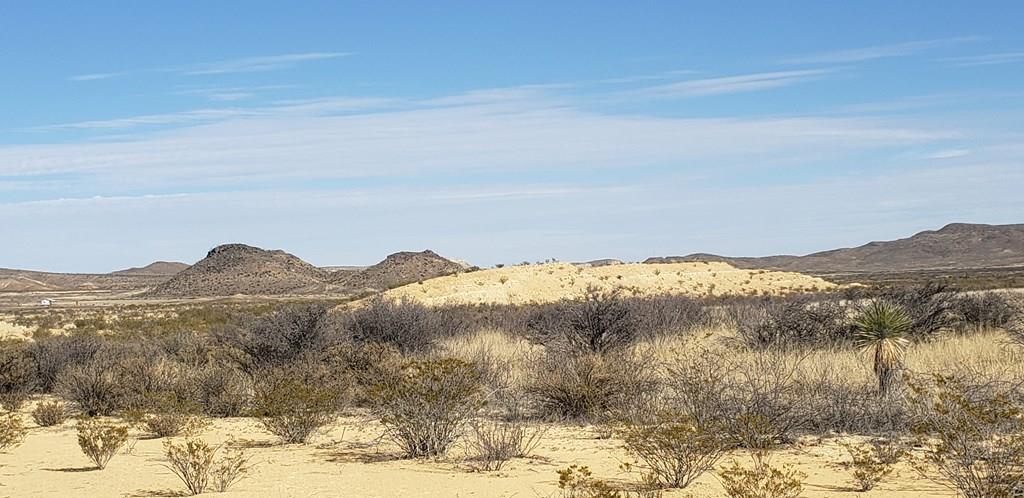 638 Mailbox Road Alpine, TX 79830 - Photo 1 of 1 Main View