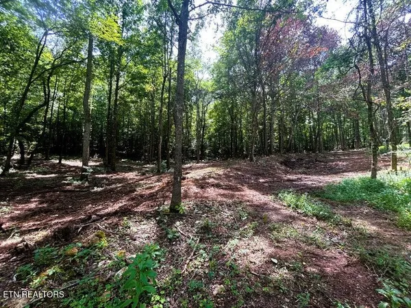 $229,900 | 8 Pleasant Hill Road, Ten Mile, TN 37880